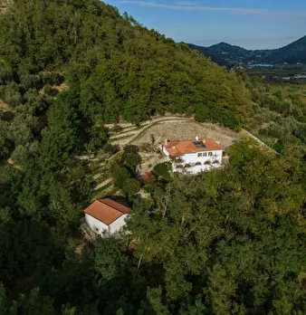 Foto annuncio 10
