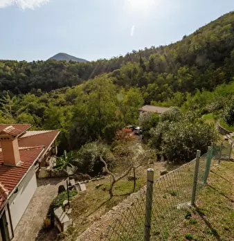 Foto annuncio 63