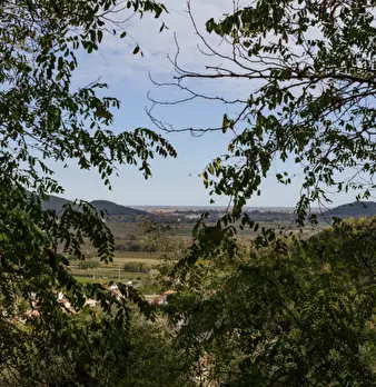 Foto annuncio 66