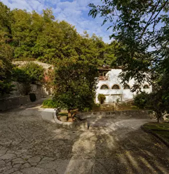 Foto annuncio 71