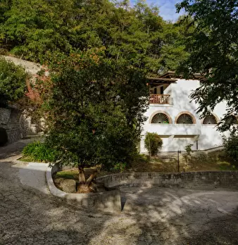 Foto annuncio 72