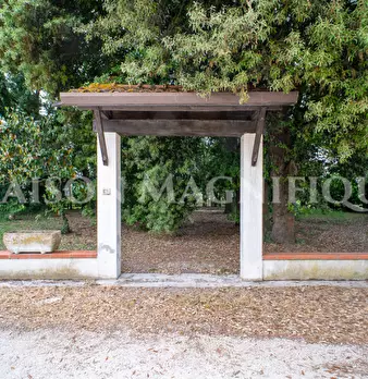 Foto annuncio 47