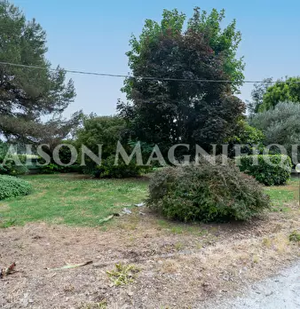Foto annuncio 48