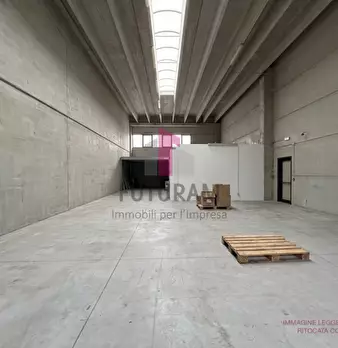 Foto annuncio 2