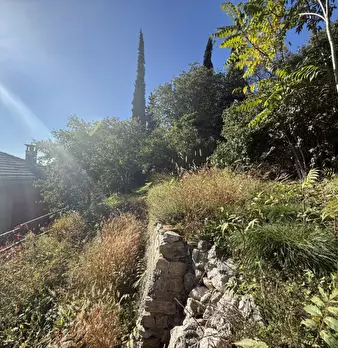Foto annuncio 27