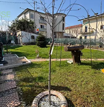 Foto annuncio 1