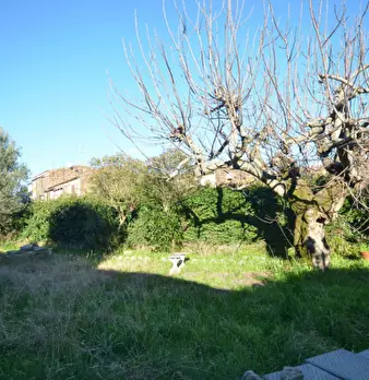 Foto annuncio 19