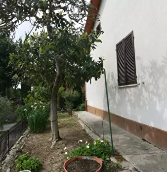 Foto annuncio 5