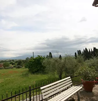 Foto annuncio 22