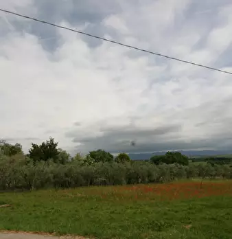 Foto annuncio 23