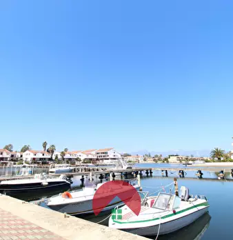 Foto annuncio 7