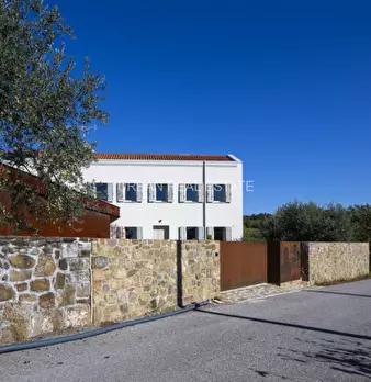 Foto annuncio 41