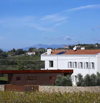 Foto annuncio 47