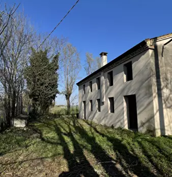 Foto annuncio 5