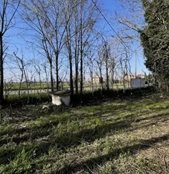 Foto annuncio 45