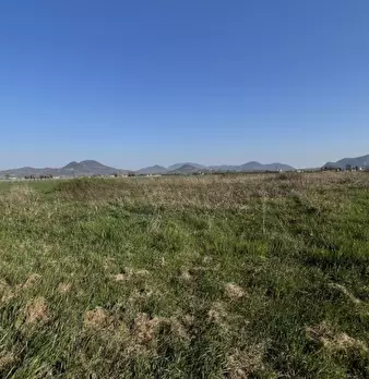 Foto annuncio 47