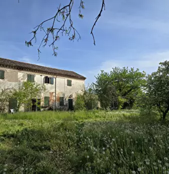 Foto annuncio 42