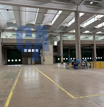 Foto annuncio 13