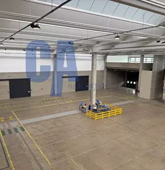 Foto annuncio 16
