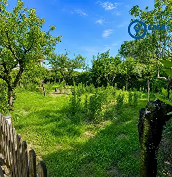 Foto annuncio 83