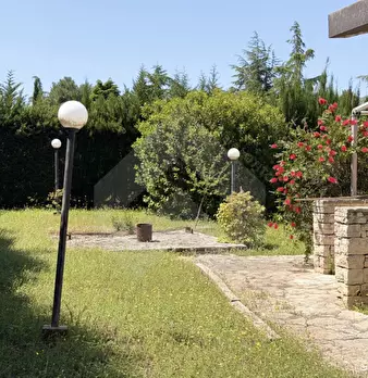 Foto annuncio 6