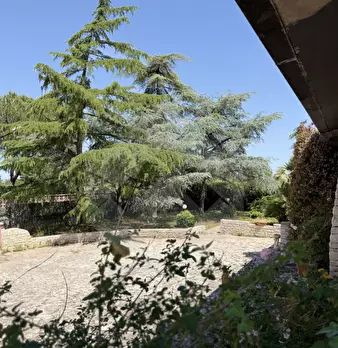 Foto annuncio 11