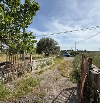 Foto annuncio 24