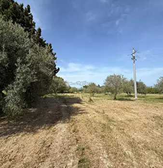 Foto annuncio 26