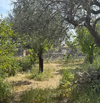 Foto annuncio 29