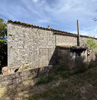 Foto annuncio 30
