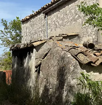 Foto annuncio 31