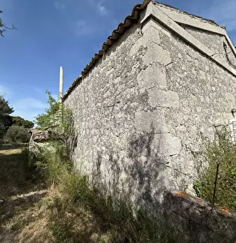 Foto annuncio 32