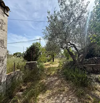 Foto annuncio 35