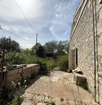 Foto annuncio 50