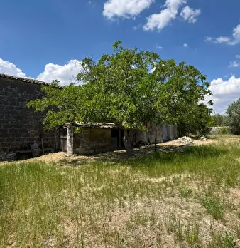 Foto annuncio 61