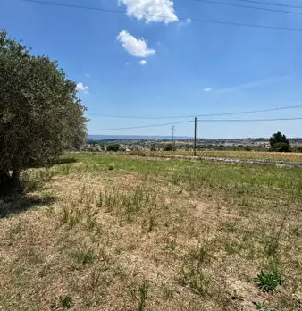 Foto annuncio 62