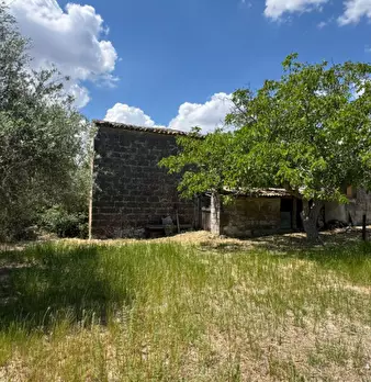 Foto annuncio 65