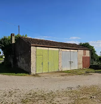Foto annuncio 7