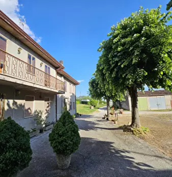 Foto annuncio 11