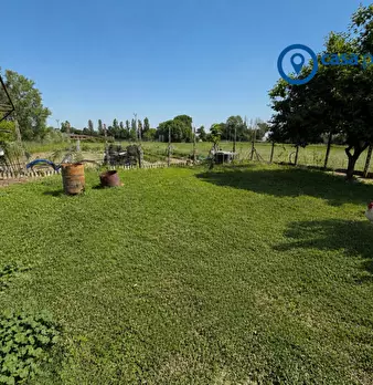 Foto annuncio 28