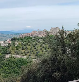 Foto annuncio 17