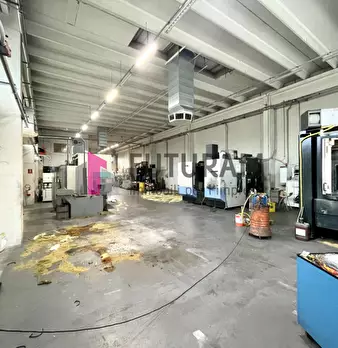 Foto annuncio 12