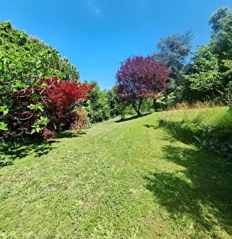 Foto annuncio 35