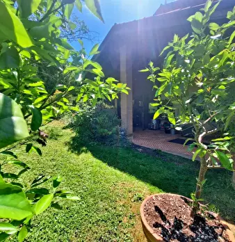 Foto annuncio 37