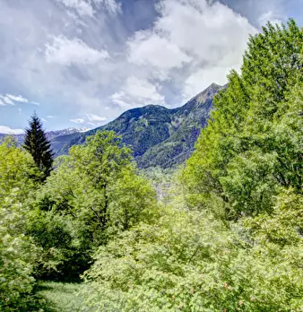 Foto annuncio 1