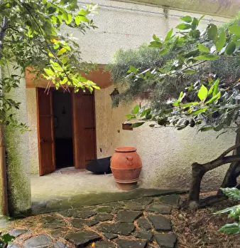Foto annuncio 39