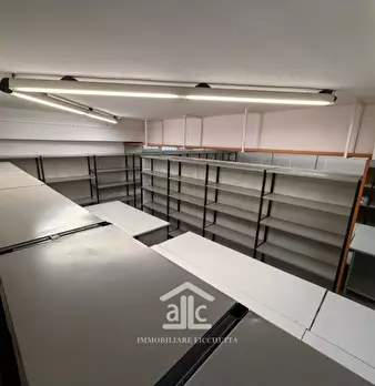 Foto annuncio 13