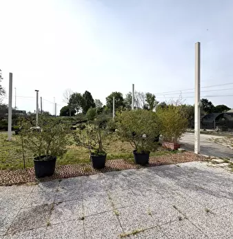 Foto annuncio 5