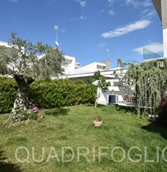 Foto annuncio 24