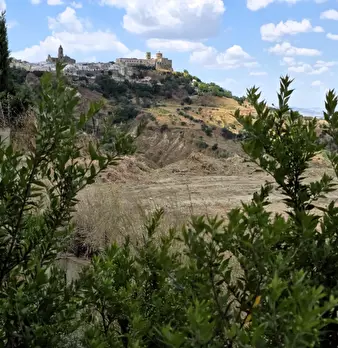 Foto annuncio 8